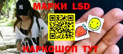 амф Новодвинск