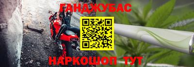 амф Новодвинск