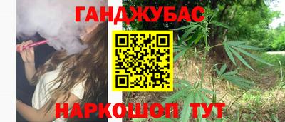 амф Новодвинск