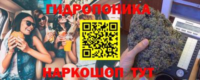 мдма Новозыбков