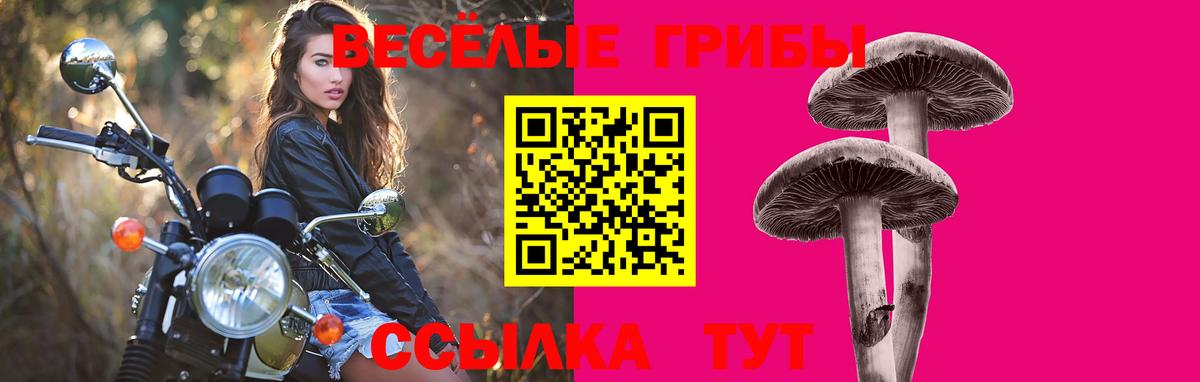 Партизанск  Галлюциногенные грибы Psilocybine cubensis  где купить наркоту  Вход с VPN  Галлюциногенные грибы мухоморы 